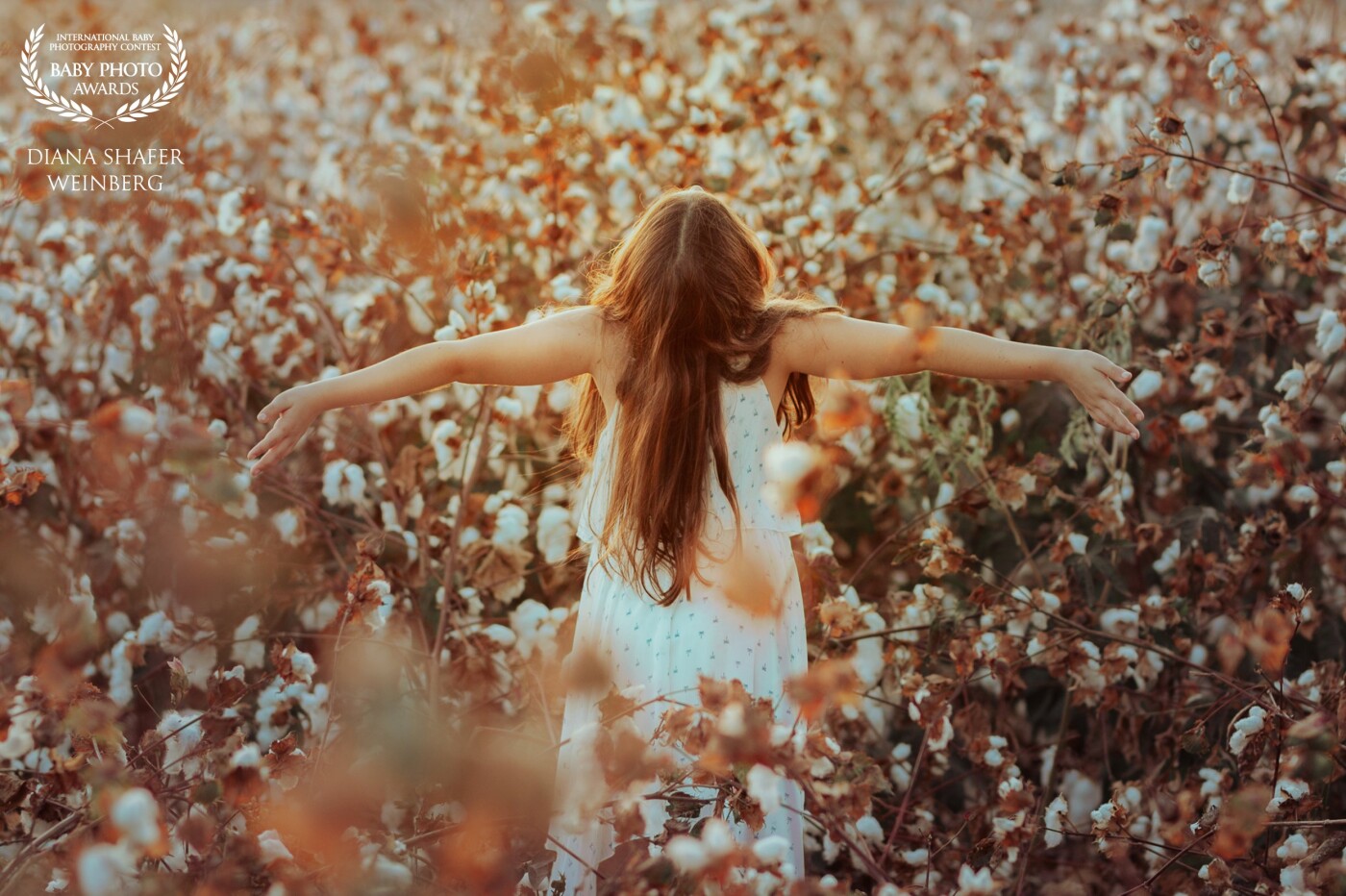 Sometimes you have to let go. Breathe. Live in the moment. See the beauty in nature. See the beauty in our world. You can do it all in the middle of a cotton field.