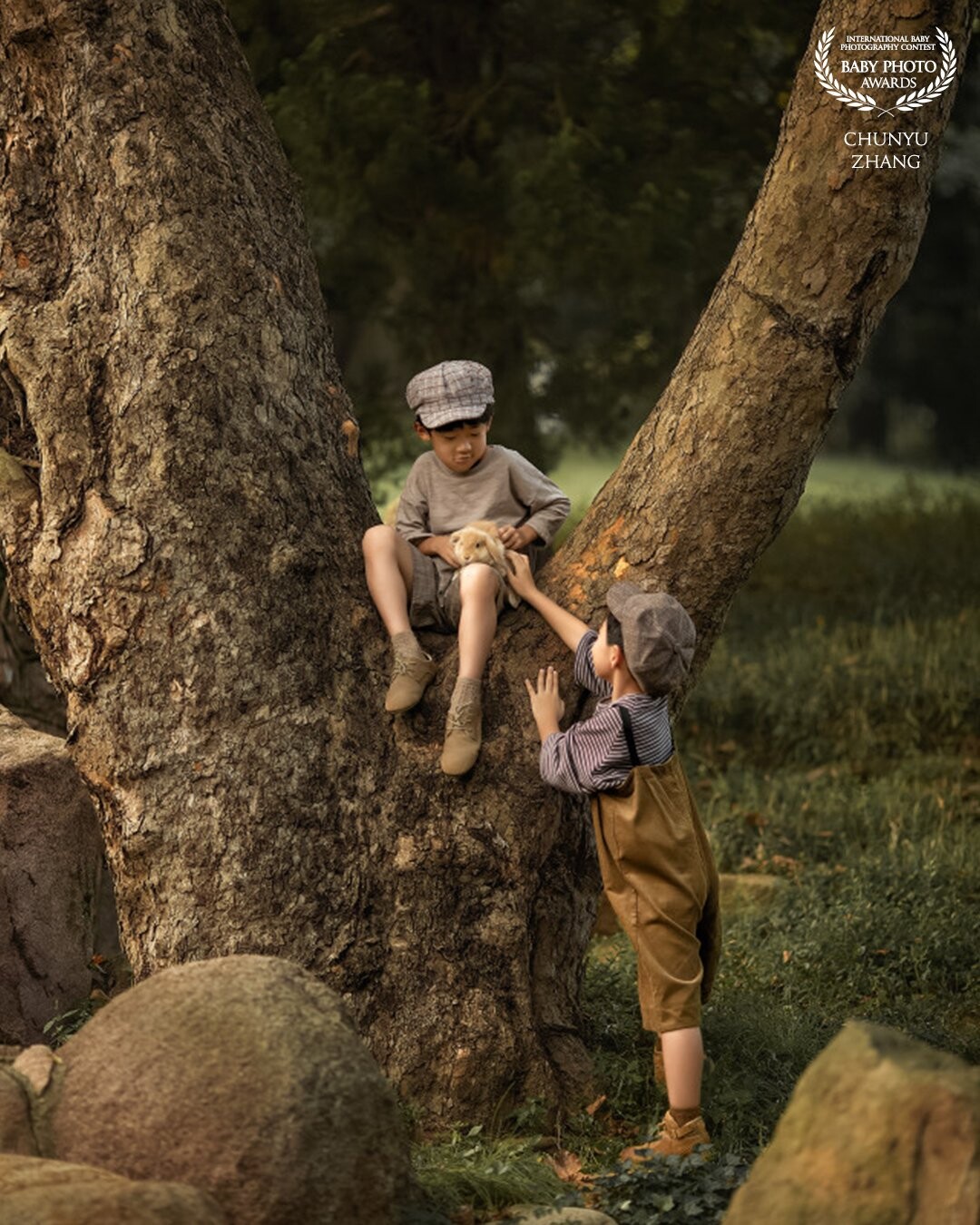 This naughty boy climbed up a tree with a bunny. He wanted to let the bunny see more of the world. And the other boy is softly touching the rabbit. They both have a deep love for the rabbit.