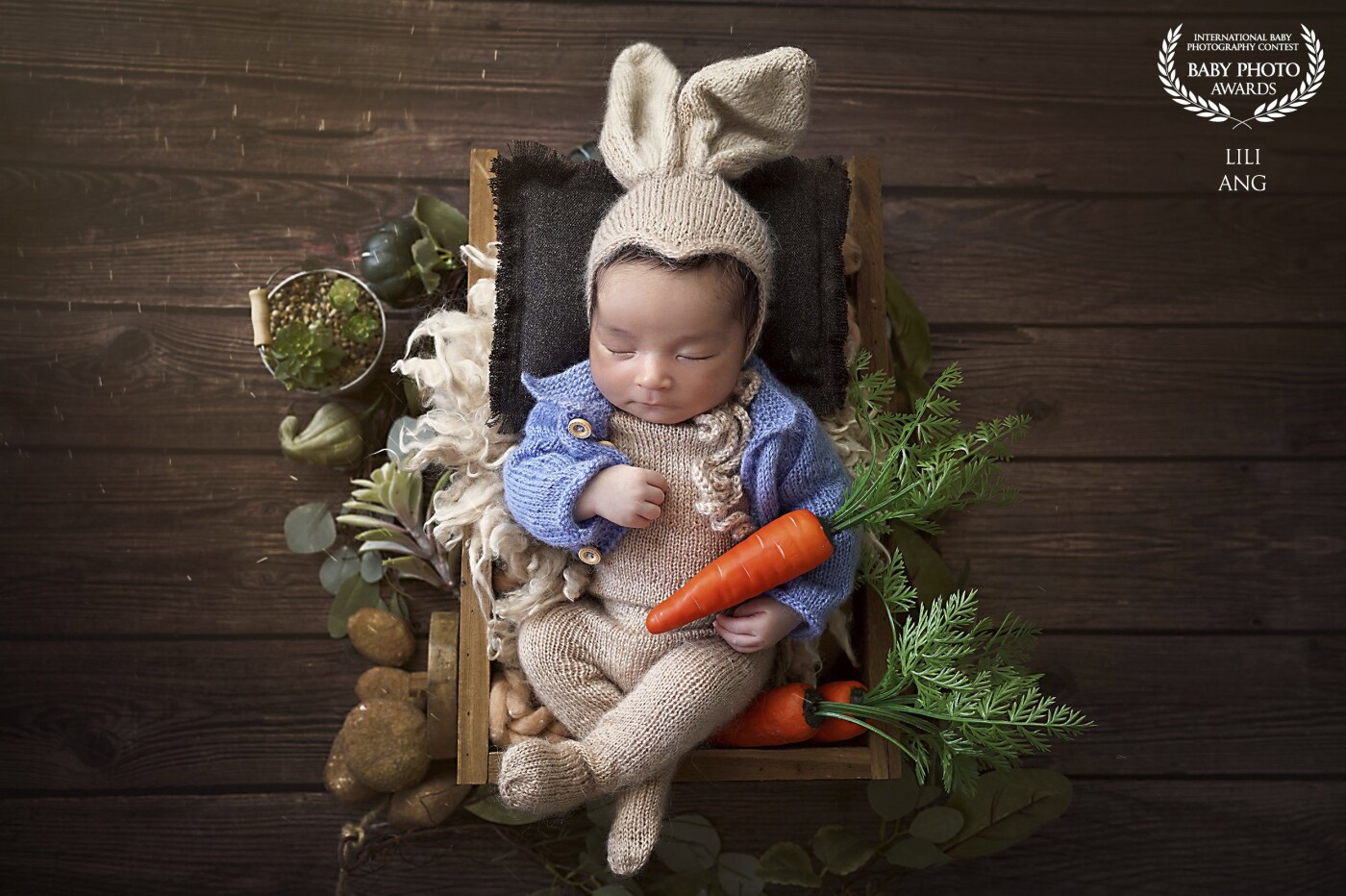 Peter Rabbit theme ????<br />
The concept is classic. Rabbit love carrot , so this picture is just simple as that.<br />
<br />
This concept is specially made for Baby Aizen, handsome son of Erick Bana Iskandar & Vanessa Iskandar.<br />
<br />
So, this award dedicated to your lovely family. Erick, Vanessa and Baby Aizen.<br />
<br />
With❤️, <br />
Lili Ang
