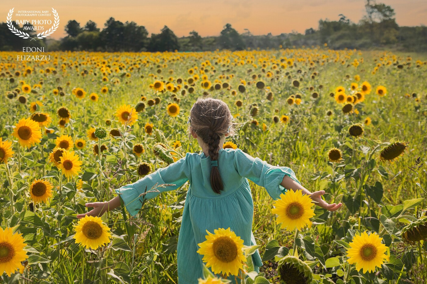 My little girl in a field of sunflowers! On a sunny afternoon, we found this field and stopped to take some photos and enjoy the day