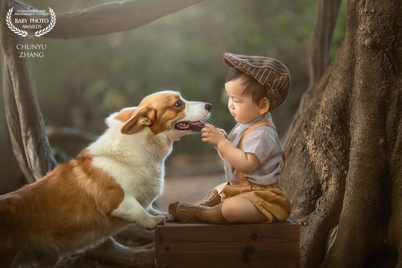 This little boy is playing with a corgi and wants to feed his dog, but he isn't quite sure what the dog likes to eat. So he decided to chat with the dog.