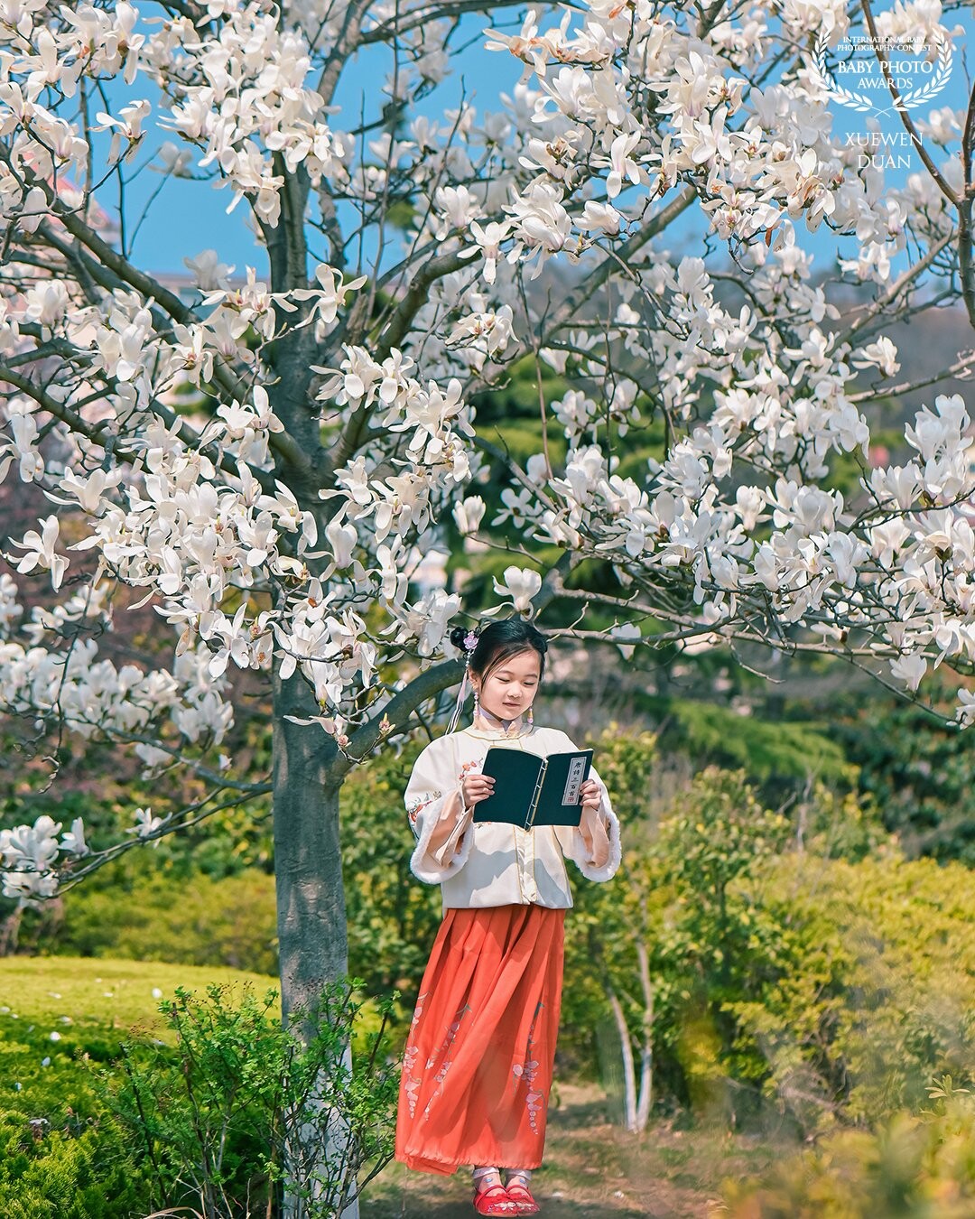 Magnolia in full bloom. We agreed with Qiqi to meet under the Magnolia. That day, she wore a set of Chinese style clothes and took a book. She was just in full bloom. Under the blue sky, the wind blew her skirt. The picture was very beautiful!