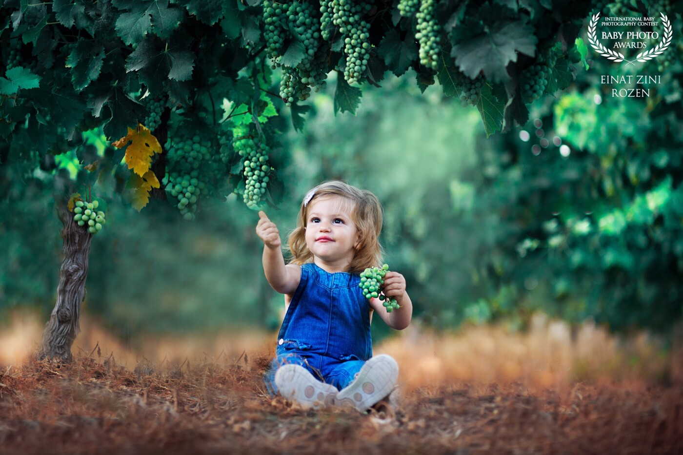 magic in the vineyard happens when we let SHIRA (the girl in the photo) to connect to nature and feel the sense of grapes up close. <br />
for me this photo represent the amazing and initial connection between kids to authentic nature.