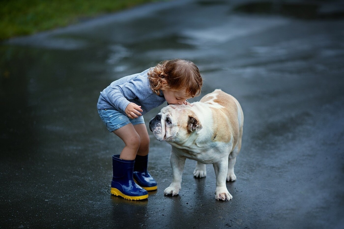 It was time after pouring rain and shooting with beautiful little girl Maria and her best friend - english bulldog Ozzy. She likes her dog very much! And it was great pleasure for me to see they cute relationship. Kids with their pets always look very nice and sweet.