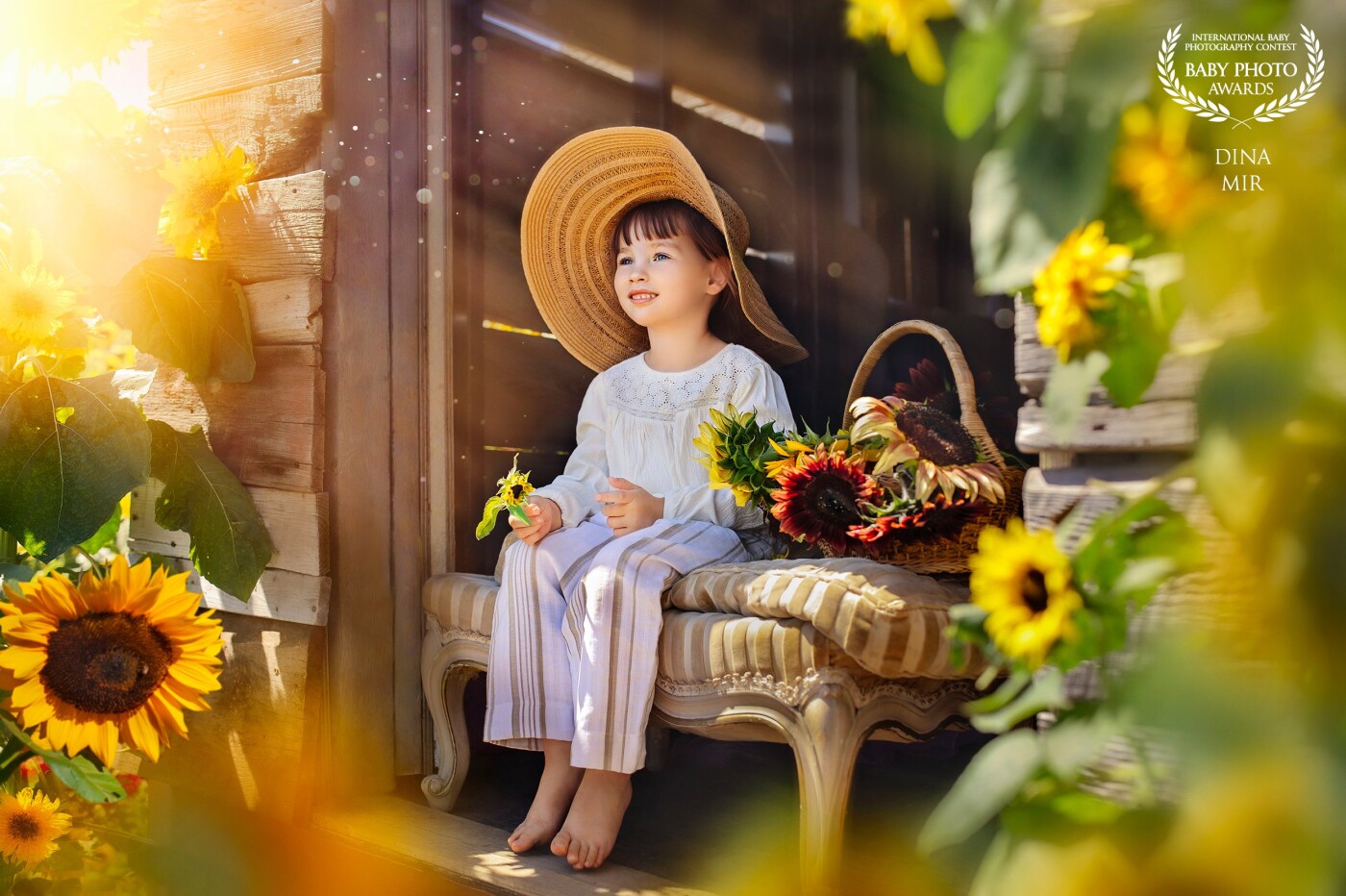 My young client at the sunflower farm. Look at her. She is like the sun. Bright and cheerful))) She looks at the flowers, mom, dad and enjoys a beautiful summer day)