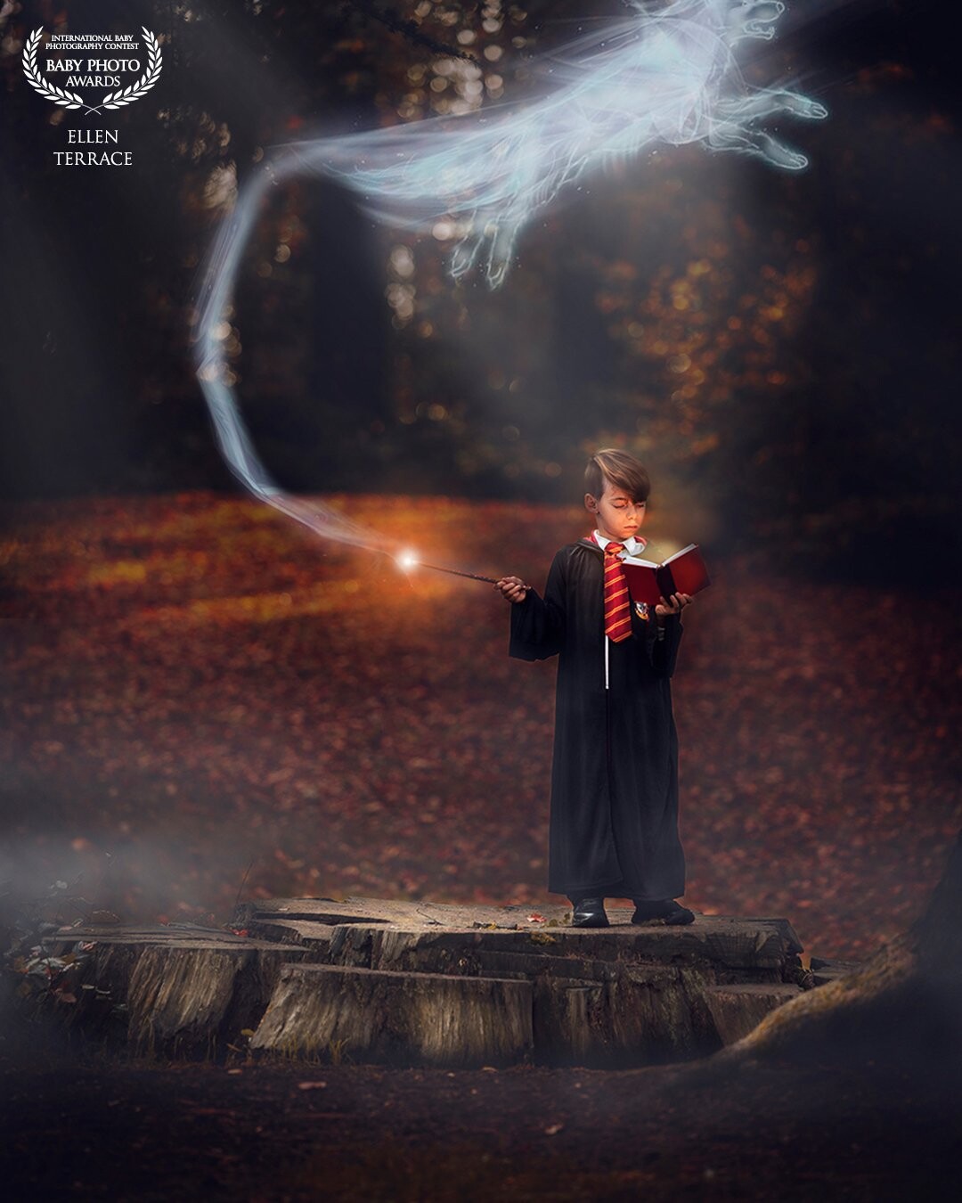 I have been in love with the Harry Potter books and movies since they came out.<br />
Lucky for me, my 8-year-old son loves them as well.<br />
When we rewatched the movies this Halloween, I had this wonderful image in my head for a new fantasy photo. So, we took a walk to the park nearby and got to work.<br />
His favourite animal is a wolf, so I quickly decided on the patronus I wanted.<br />
I absolutely adore making this kind of fine art fantasy photographs.<br />
<br />
Thank you so much for this award!