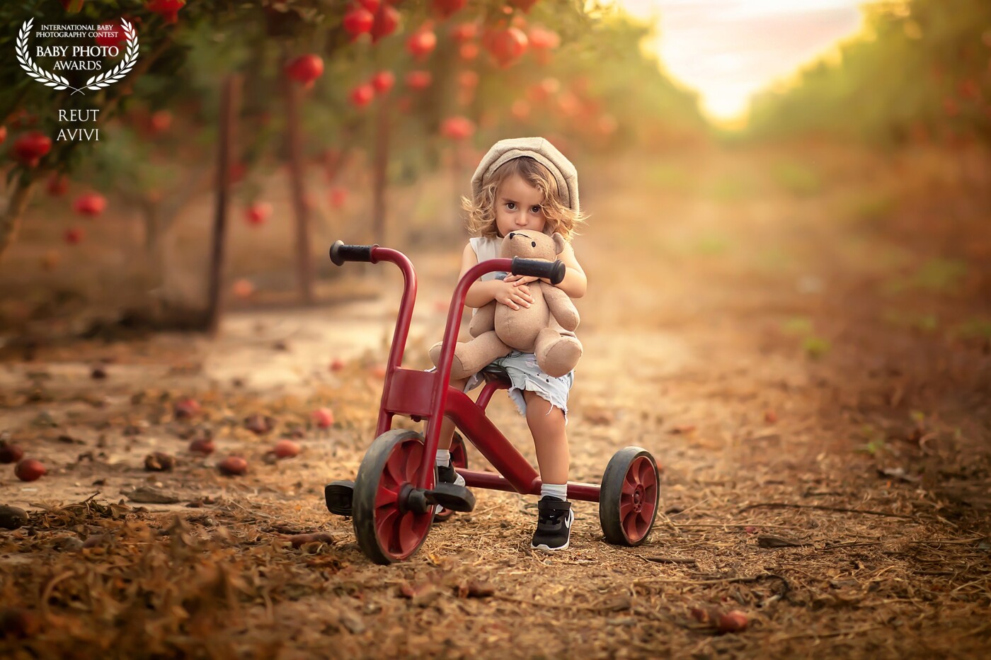 As the sun set over the pomegranate field, a sweet little boy sat on his red bike, clinging tightly to his teddy bear. The warm glow of the evening enveloped them both, creating a moment of pure contentment.
