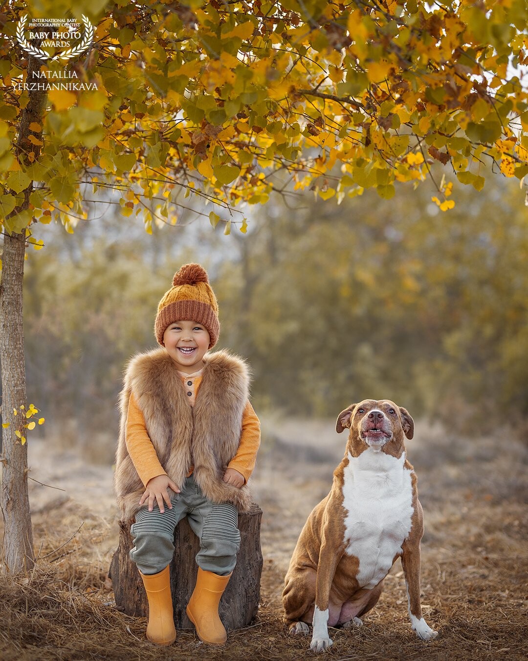 The Boy and his best friend up for next adventure. After moving from Arizona where they had no Autumn, the leave changing color experience really excited them both. <br />
New colors, new smells new everything...