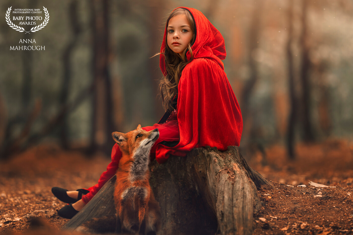 Little red riding hood lost in the forest