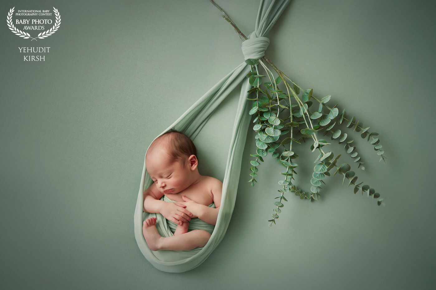cocooned in a soft sage-green wrap that hangs gently from above like a delicate leaf. Suspended alongside sprigs of eucalyptus, the baby appears cradled by nature itself. The monochromatic palette of soft greens evokes calm, purity, and organic beauty, while the careful lighting enhances the baby's tender features. The image captures the essence of new life โ fragile, natural, and full of promise โ and reflects a perfect blend of elegance and emotion.