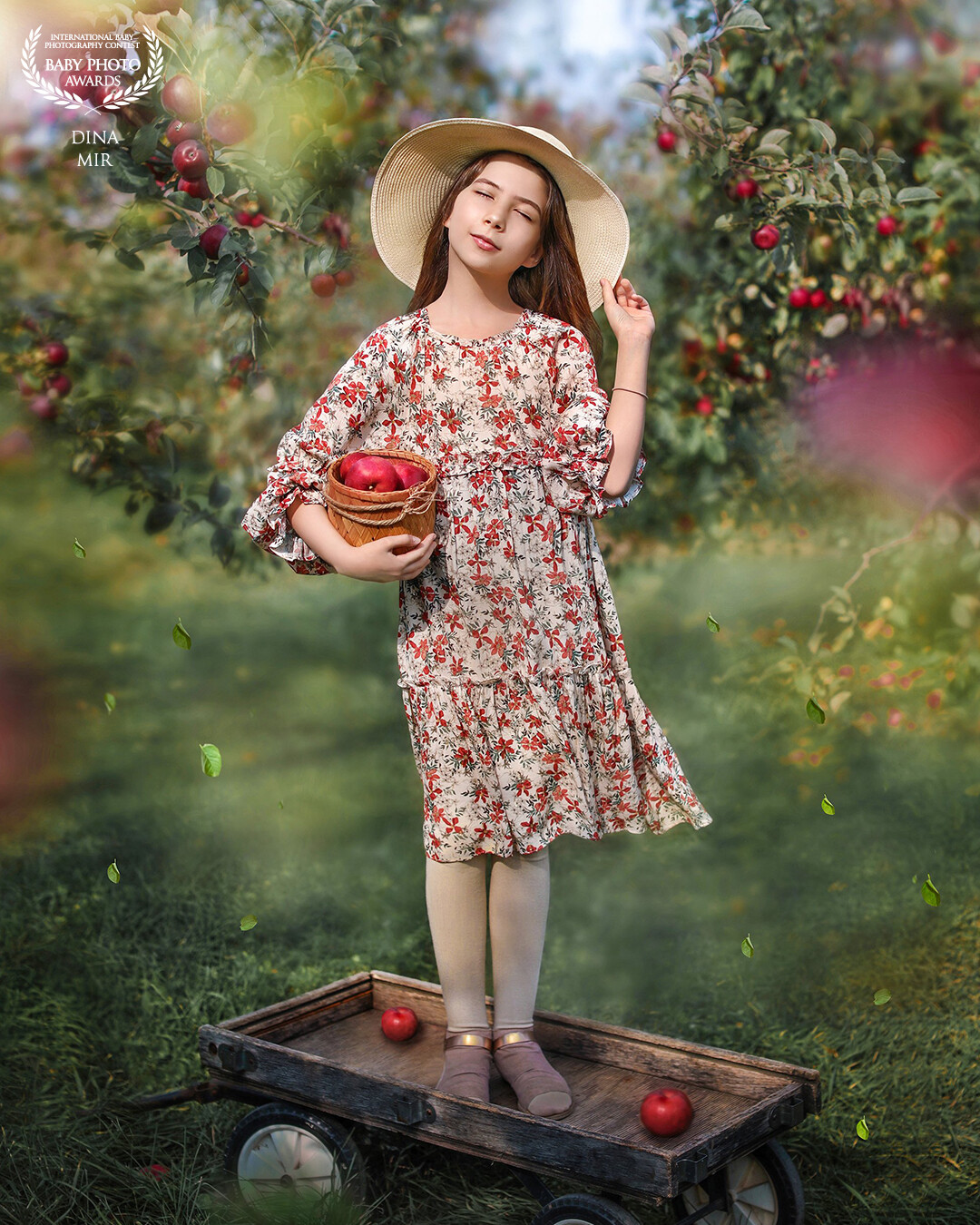 I love the smell of apples. And I love the taste of them. I will collect a basket and treat my friends again