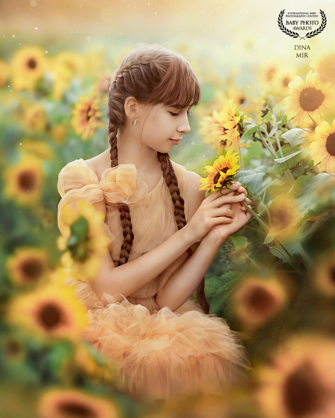 There is a lot of light and heat in the fields with sunflowers.<br />
 These sunny flowers bring joy and a wonderful summer mood.